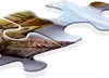 Ravensburger Aimee Steward: Großartige Tierwelt Puzzle Produktbild-Vorschau 6