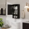 Puluomis Wandschrank Bad Badezimmerschrank, Vielseitiger Produktbild-Vorschau 9