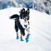 Non-stop dogwear Hundeschuhe Longdistance Booties blau - Produktbild-Vorschau 2