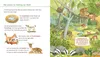 Unkaputtbar: Erstes Wissen: Im Wald Produktbild-Vorschau 8