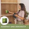 Nordstern Sound Box mit Naturklängen und Vogelgesang für Produktbild-Vorschau 4