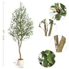 Kunstplant Olijboom, 210 cm – Realistische plant voor Productafbeelding-voorbeeld 2