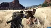 Crimson Desert [Day 1 uncut Edition] (PS5) Produktbild-Vorschau 6