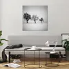 Bilder auf glas - Einteilig - Winter Bäume Schnee - 70x70cm Produktbild-Vorschau 6