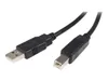 StarTech.com 50cm USB 2.0 A auf B Kabel - USB Druckerkabel Produktbild-Vorschau 4