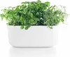 Eva Solo Selbstbewässernder Herb-Organiser, Kräutertopf mit Produktbild-Vorschau 3