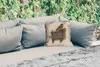 MuchoWow® Outdoor Kissen - Stieglitz - Alter Meister - Produktbild-Vorschau 2