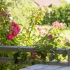 Relaxdays Spiralstab Tomaten, 20er Set, Tomatenstäbe 120 Produktbild-Vorschau 5