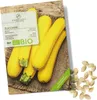 Zucchini Samen Gelb (Gold Rush, 5 Korn) - Zucchini Saatgut Produktbild-Vorschau 1