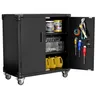 Armoire à outils, armoire métallique à roulettes, armoire Voir les images du produit 1