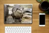 MuchoWow® Laptop Aufkleber Sticker Cover Otter - Stein - Produktbild-Vorschau 2