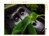 CALVENDO Puzzle Watching you | 1000 Teile Lege-Größe Produktbild-Vorschau 2