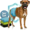 HUND IST KÖNIG Hundewindeln für Rüden [3 Stk], L (Taille Produktbild-Vorschau 1