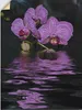 ARTland Wandbild, selbstklebend Wasserorchidee Größe: 45x60 Produktbild-Vorschau 1