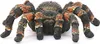 Schleich® Wild Life 14829 Tarantola Anteprima dell’immagine prodotto 2