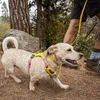 Ruffwear Hi & Light™ Hundegeschirr Produktbild-Vorschau 11