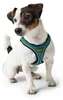 HUNTER Hundegeschirr Hilo Comfort, Farbe: türkis, Easy Produktbild-Vorschau 6