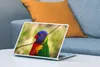 MuchoWow® Laptop Aufkleber Sticker Cover Vogel - Sittich - Produktbild-Vorschau 4