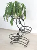 DanDiBo Escalier pour fleurs Métal Noir 87 cm Support pour Voir les images du produit 6