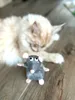 A plush toy rat is in the foreground with a blurred cat in the background. Produktbild-Vorschau