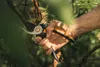 Fiskars Bypass Gartenschere Solid Astschere Rosenschere Produktbild-Vorschau 7