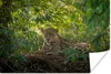 MuchoWow® Poster Jaguar im Dschungel 30x20 cm - Plakate - Produktbild-Vorschau 1