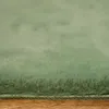 A close-up view of a green rug with a wooden floor. Náhled obrázku produktu