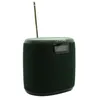 Pure Woodland Mini, Cestovní, Digitální, DAB+, FM, 87,5 - Náhled obrázku produktu 2