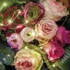 Guirlande lumineuse Micro LED 195cm Voir les images du produit 6