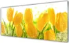 Acrylglasbilder 125x50 Wandbild Druck Tulpen Pflanzen Produktbild-Vorschau 1