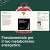 Vita Elements Gommose all’aceto di mele 60 pz Vitamina B12 Anteprima dell’immagine prodotto 6