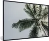 MuchoWow® Gerahmtes Poster Palme - Tropisch - Sommer 90x60 Produktbild-Vorschau 1