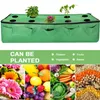 Pflanztasche Vliesstoff 20 Gallonen Atmungsaktive Produktbild-Vorschau 4