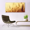 Glasbilder 140x70 Wandbild Druck auf Glas Weizen Pflanzen Produktbild-Vorschau 3