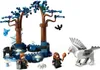 LEGO Harry Potter Zakazany Las: magiczne stworzenia, Podgląd zdjęcia produktu 11