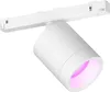 Philips Hue White and Color ambiance 8719514407466 Anteprima dell’immagine prodotto 1