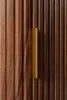 A close-up of a wooden cabinet door with a gold handle. Anteprima dell’immagine prodotto