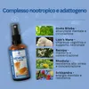 Spray Memoria & Focus | Lions Mane, Bacopa, Ginkgo Biloba, Anteprima dell’immagine prodotto 4