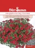 Dürr-Samen - Petunien Big Time Red einjährig 100 cm - Produktbild-Vorschau 1