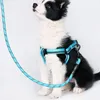 Laisse pour chien réfléchissante, laisse d'entraînement Voir les images du produit 3