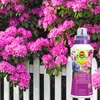 Hortensien-Dünger 0,5 l - Hochwertig - Nährstoffreich - Für Produktbild-Vorschau 4