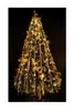 A decorated Christmas tree with lights and ornaments against a black background. Produktbild-Vorschau