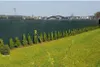Filet de jardin pour mailles 90%, 135 g/m², 1,8 x 25 m Voir les images du produit 8