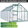 BRAST Gewächshaus Aluminium mit Fundament | 490x250x205cm | Produktbild-Vorschau 9