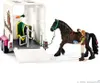 Pick-up con rimorchio e cavallo Anteprima dell’immagine prodotto 9