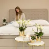 Kolibri Orchids – bílá orchidej Phalaenopsis „Lausanne“, Náhled obrázku produktu 3