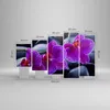 Bild auf Leinwand - Leinwandbild - Blumen Steine Violett Produktbild-Vorschau 3