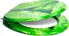 Sanfino® Premium WC Sitz "Fresh Leaves" hochwertiger Produktbild-Vorschau 2