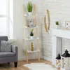 A ladder shelf with decorative items and plants in a living room setting. Produktbild-Vorschau