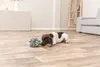 TRIXIE Schnüffelball - diverse - ø 15 cm Produktbild-Vorschau 3